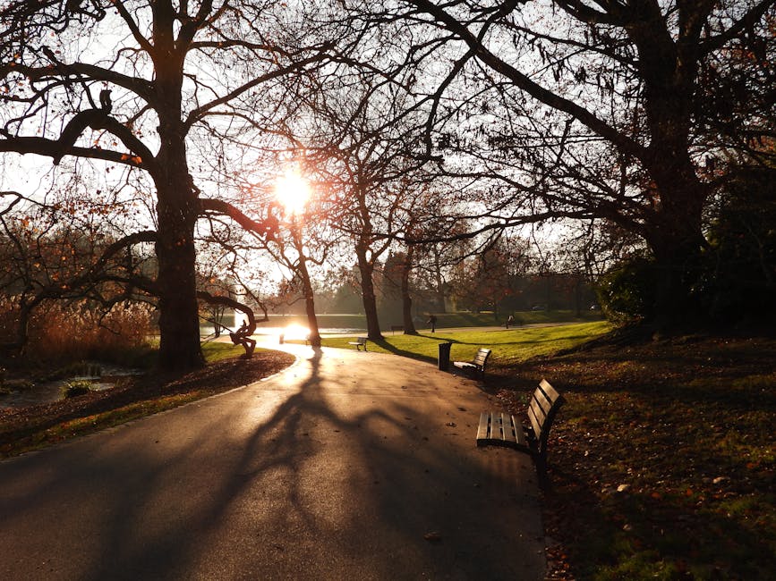 A wide pathway in a park with leafless trees lining both sides, leading towards a historic church or monument with a tall spire visible in the background. Several people are walking along the pathway,